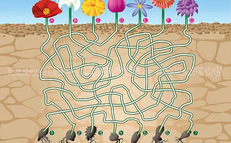 2121非凡体育安卓版